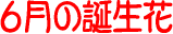 6���̒a����