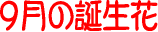 9���̒a����