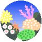 3月5日 珊瑚の日
