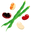 3�@�C���Q�����̓�
