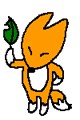 野ギツネ