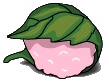 かわをむく