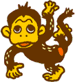サルとカメ