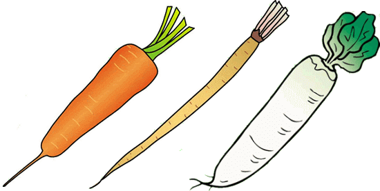 大根が白いわけ How did daikon turn white?
