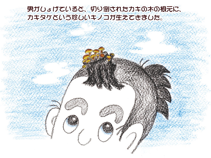 絵本紙芝居(電子書籍)<福娘童話集>