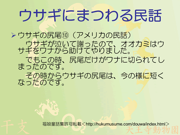 ウサギの尻尾10/10