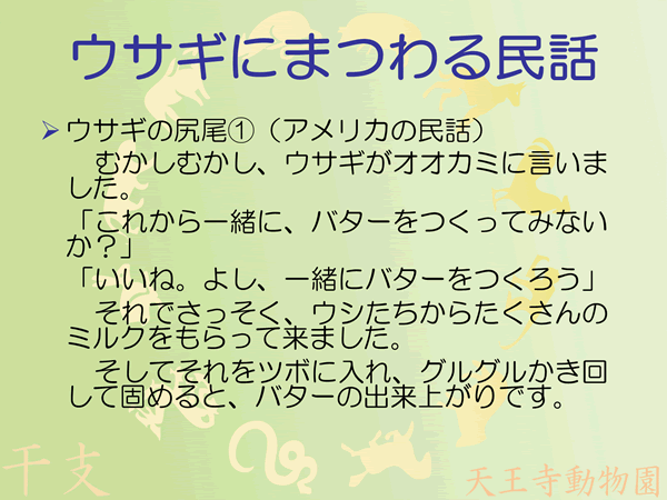 ウサギの尻尾1/10