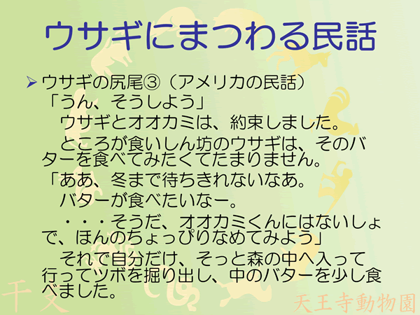 ウサギの尻尾3/10