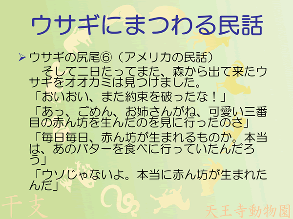 ウサギの尻尾6/10