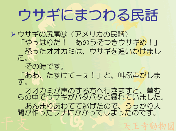 ウサギの尻尾8/10