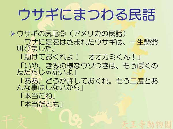 ウサギの尻尾9/10