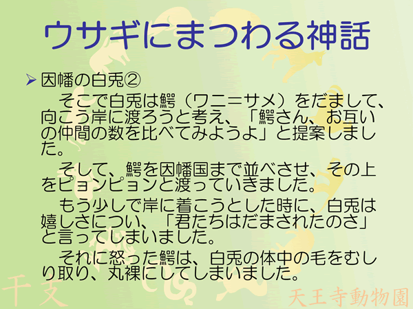 因幡の白兎2/5