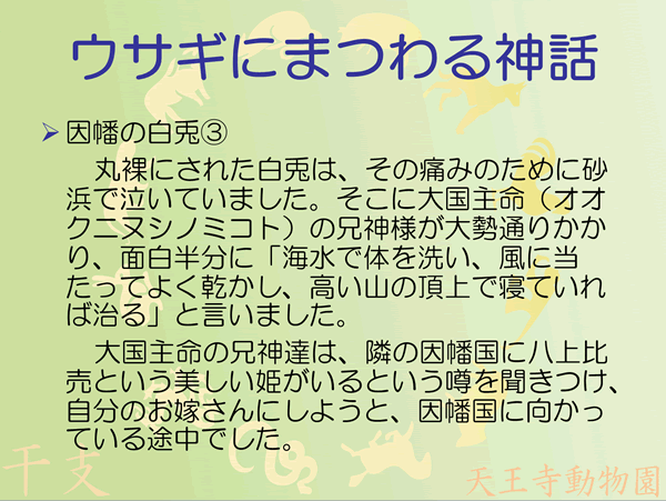 因幡の白兎3/5