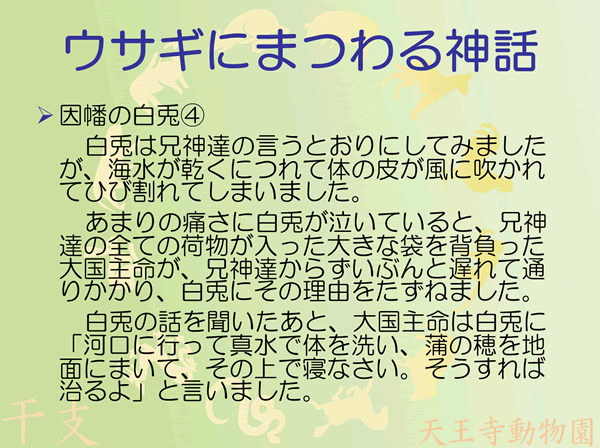 因幡の白兎4/5