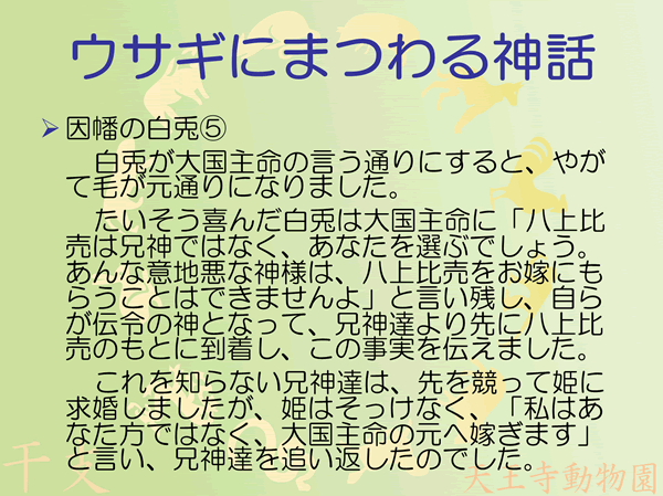 因幡の白兎5/5