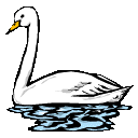 JXƔ