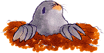 モグラ