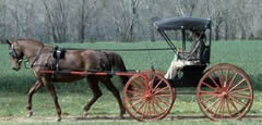 馬車