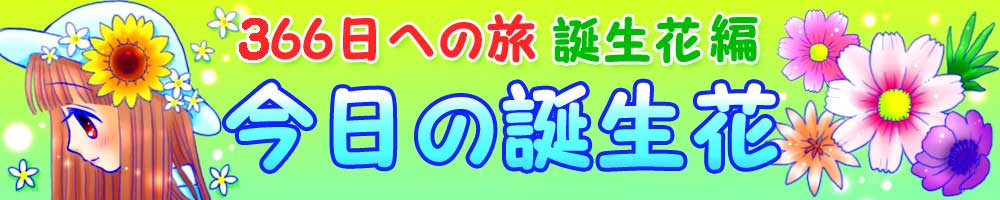 毎日の記念日検索　366日への旅　今日の誕生花 トップ