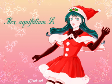 クリスマスカード2013myi