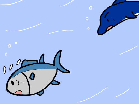 マグロとイルカ