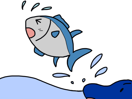 マグロとイルカ