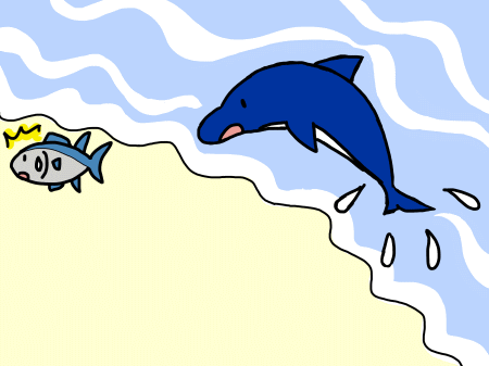 マグロとイルカ