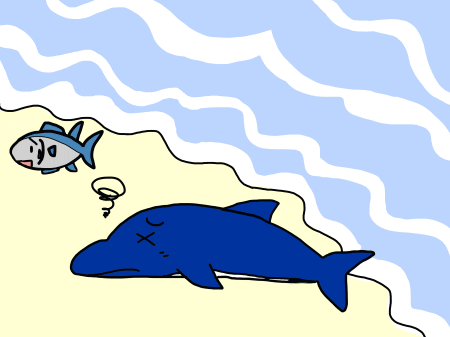 マグロとイルカ