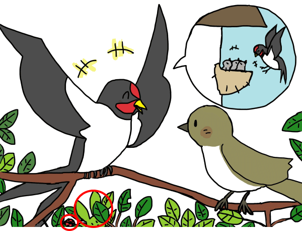 サヨナドリとツバメ