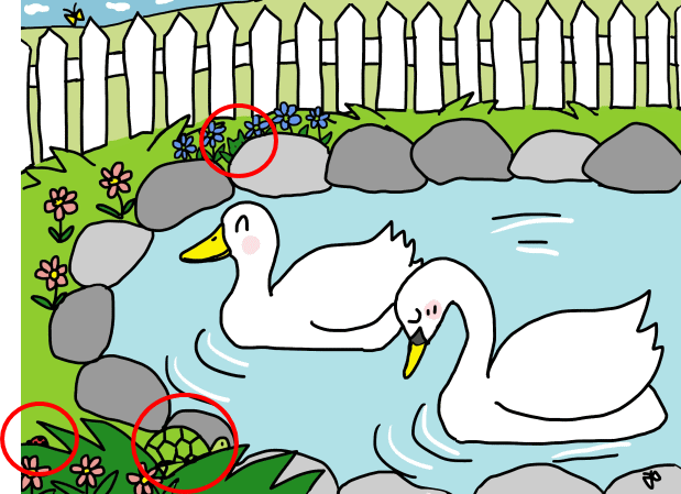 ガチョウと間違えられた白鳥
