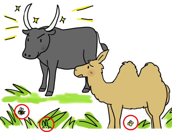 ラクダとゼウス
