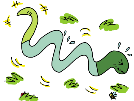 ヘビのしっぽと胴体