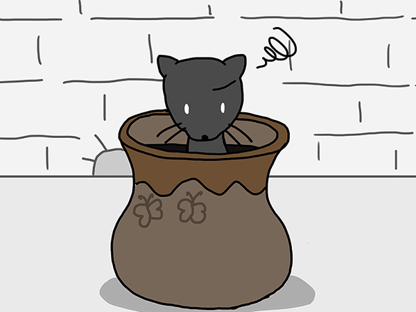 黒イタチ