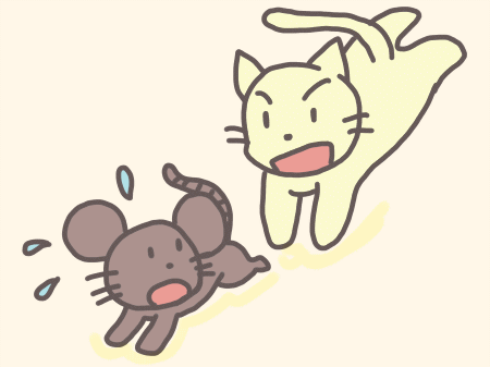 ネコの名