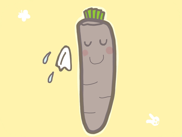 ダイコンが白いわけ