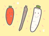 ダイコンが白いわけ How did daikon turn white?