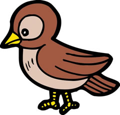 小鳥を取る方法