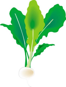 弘法菜 弘法話