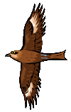 トビの鳴き声