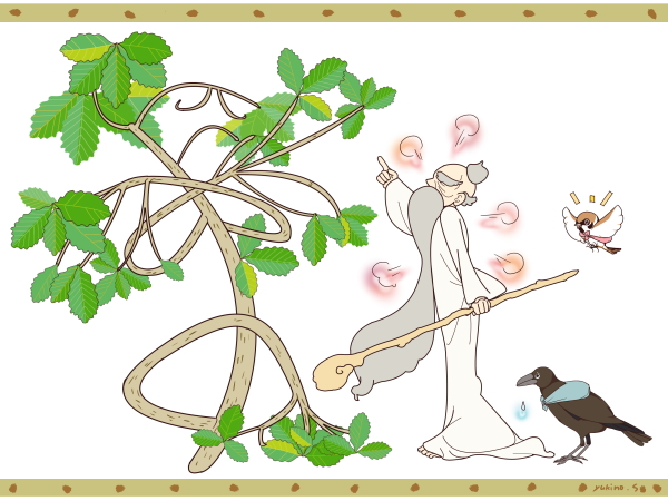 葉のない木と葉のある木 イラストレーター 「雪の雫」