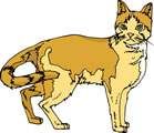 猫絵十兵衛