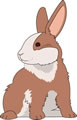 意地悪ギツネとりこうなウサギ