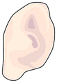 ق琁j݁@̂̕i𔄂܂