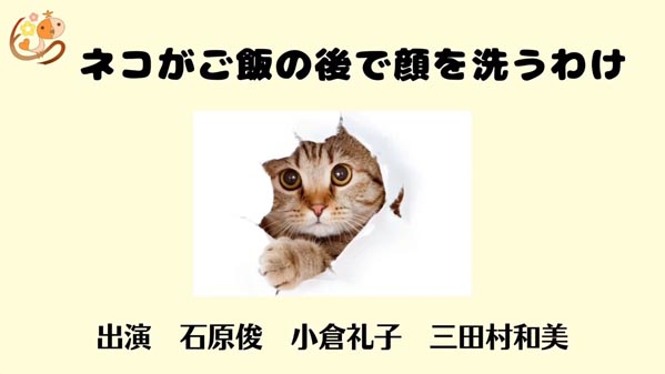 ネコがご飯の後で顔を洗うわけ リトアニアの昔話