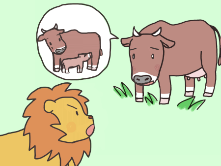 メスウシとライオン