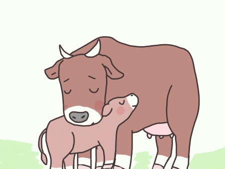 メスウシとライオン