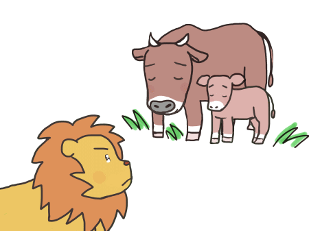 メスウシとライオン