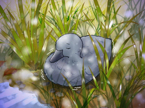 みにくいアヒルの子