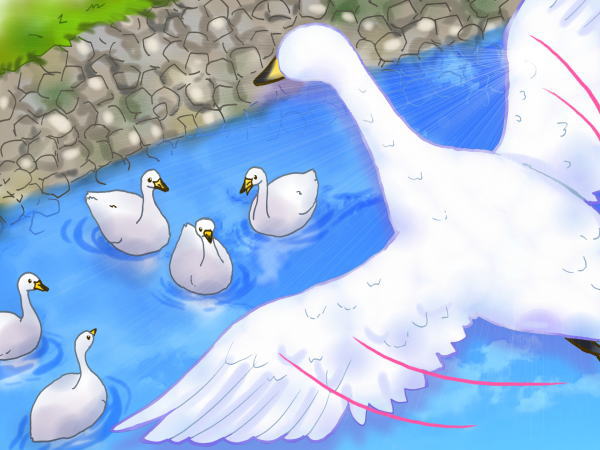 みにくいアヒルの子
