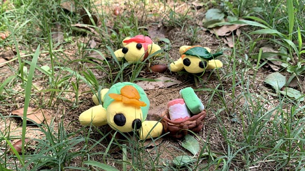 カメの遠足